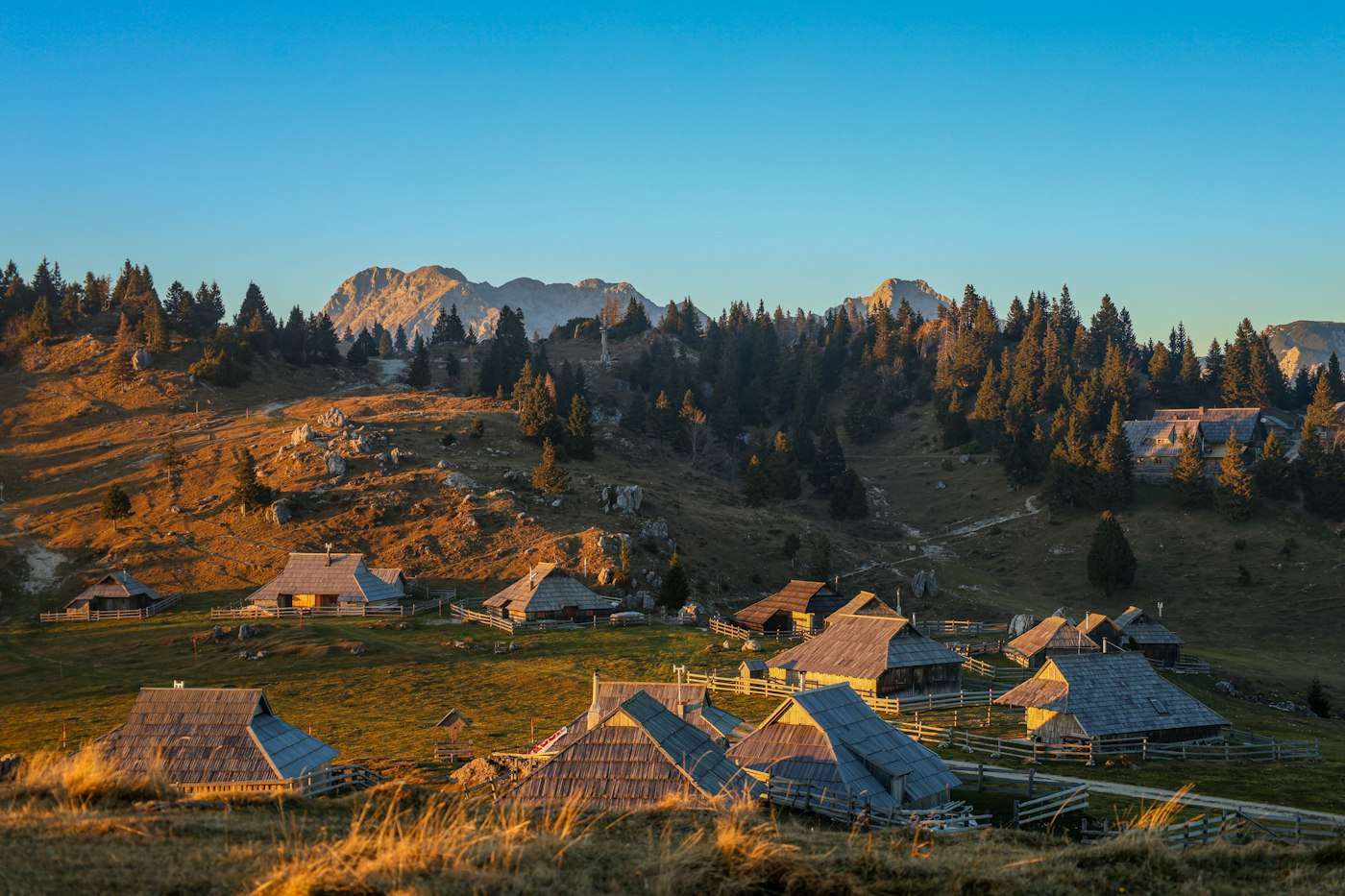 Wooden herders' huts on the high pasture of Velika Planina at golden hour